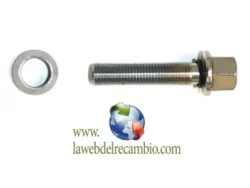 Tornillo individual PCD 12x150 Largo 45 hexágono 17